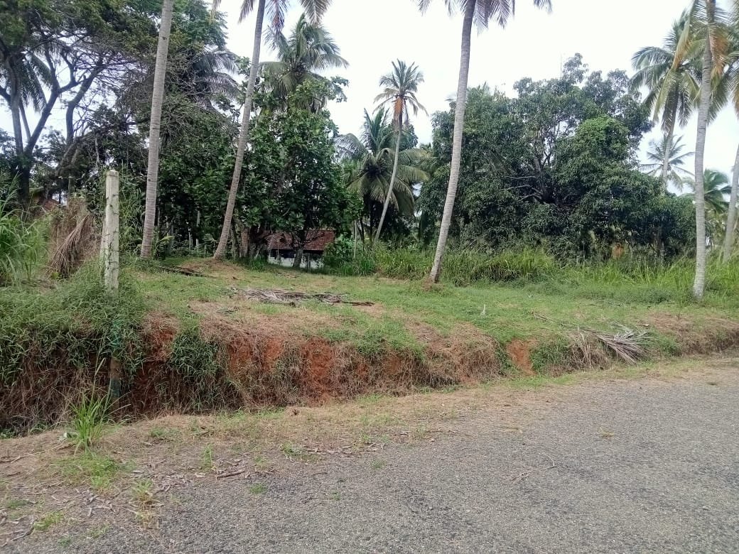 15p Land for Sale Kurunegala Thorayaya
