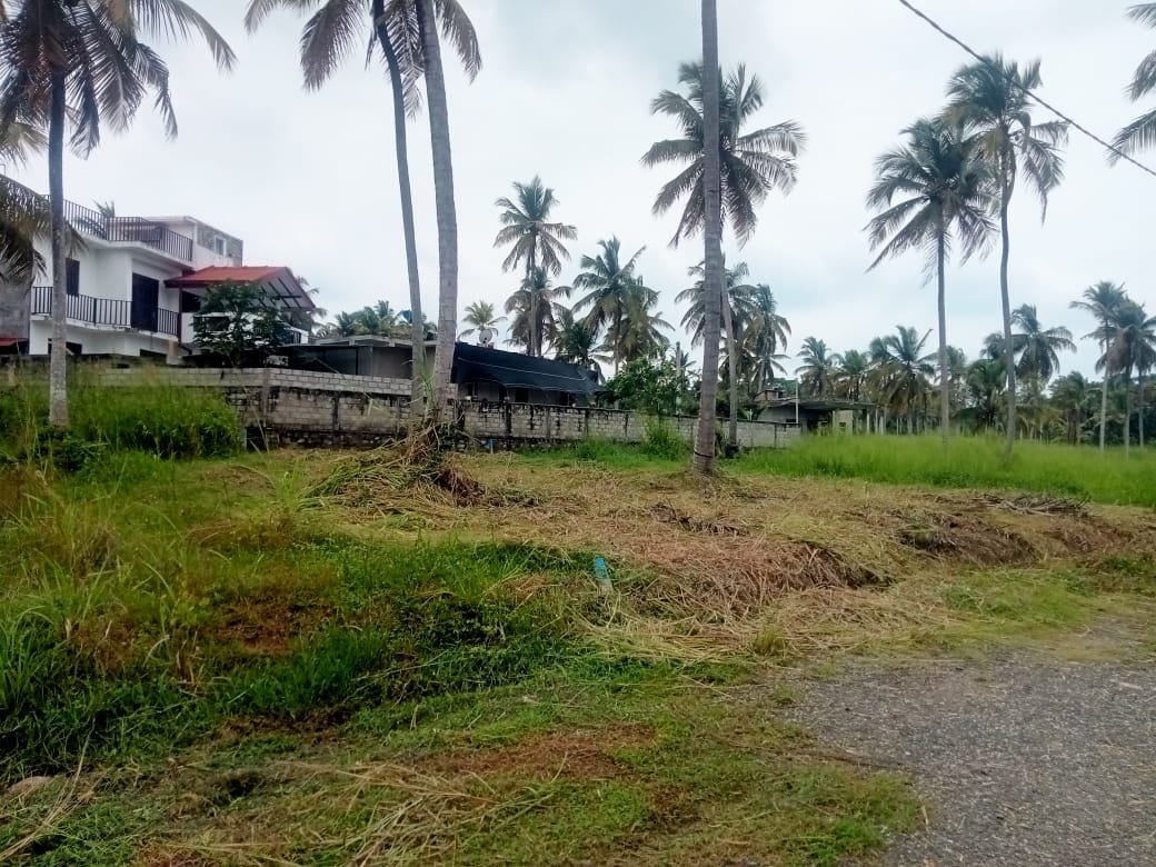 15p Land for Sale Kurunegala Thorayaya