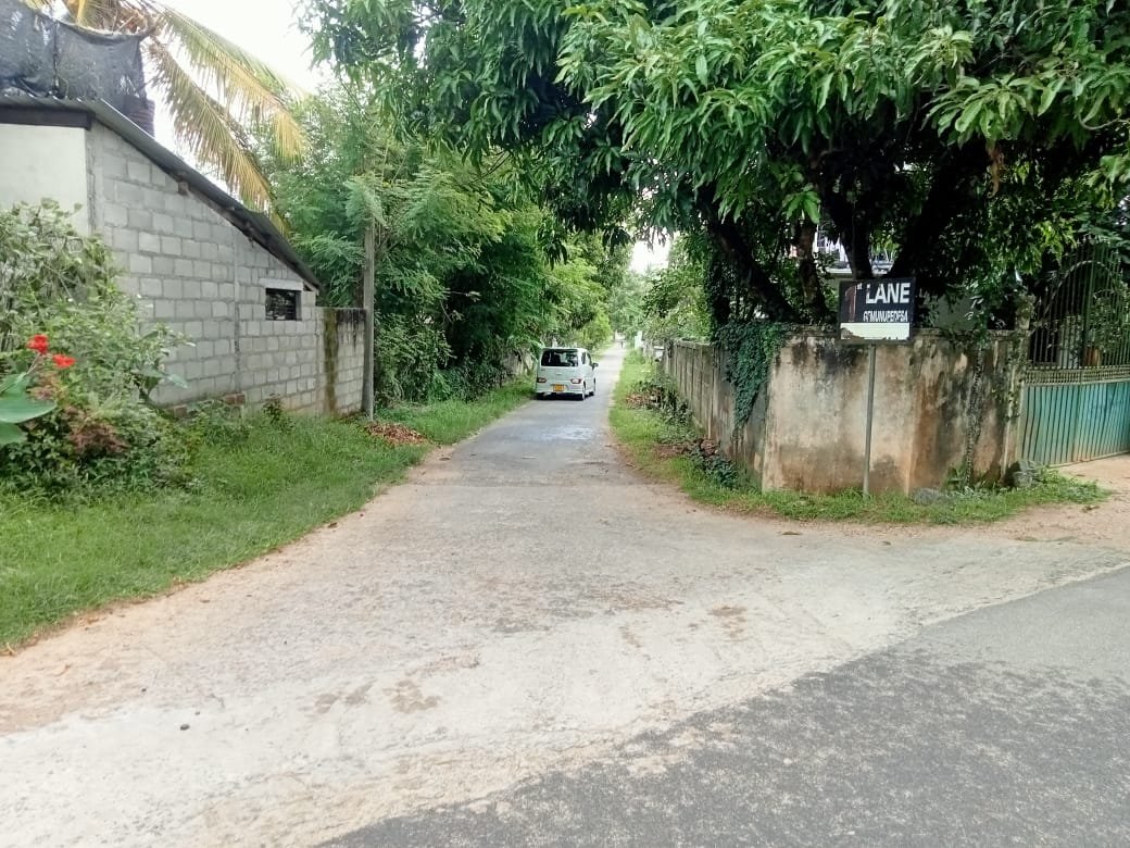 15p LAND FOR SALE KURUNEGALA ALUTHMALKADUWAWA