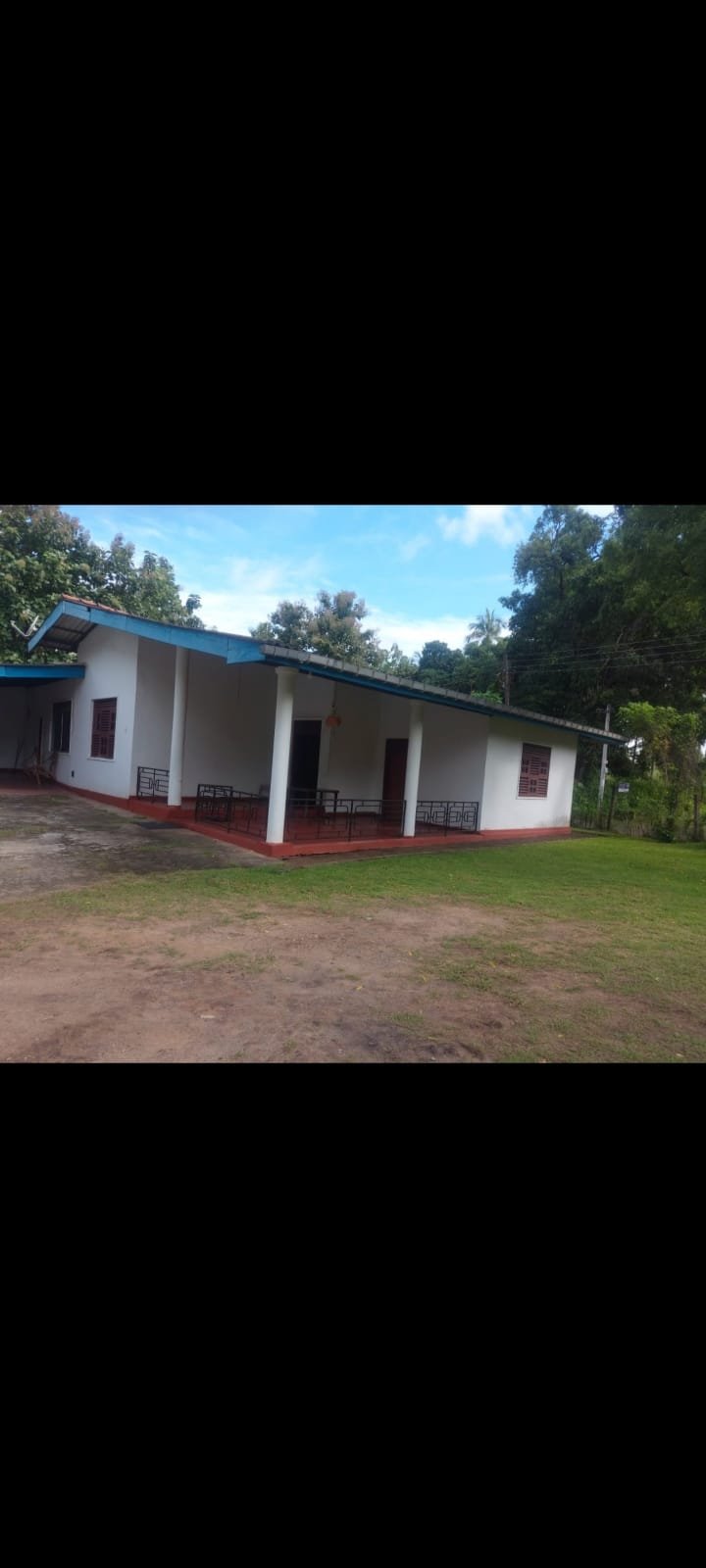 කුරුණැගල දඹුල්ල පාරේ කිරිවවුල 