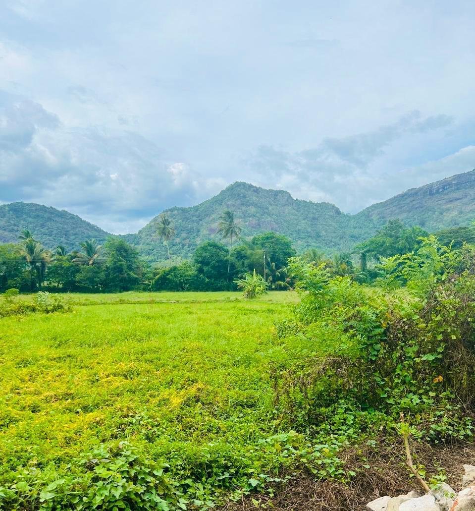 මාවතගම, වෑඋඩ පිහිටි අලංකාර පර්චස් 28ක ඉඩම විකිණීමට